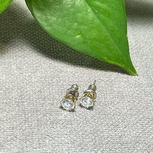 Elegant Gold and Silver Stud Earrings
